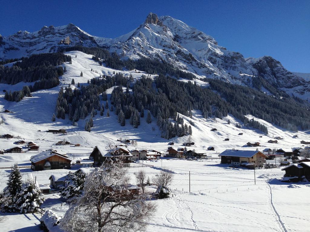 Chalet Butterfly Adelboden Zimmer foto